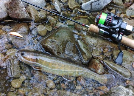 ＧＷに渓流釣り ～長良川水系～